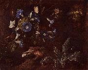 SCHRIECK, Otto Marseus van Blaue Winde, Krote und Insekten oil painting on canvas